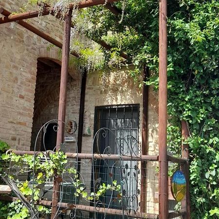 La Casina Di Ancicucco 2 Apartment San Gimignano Bagian luar foto